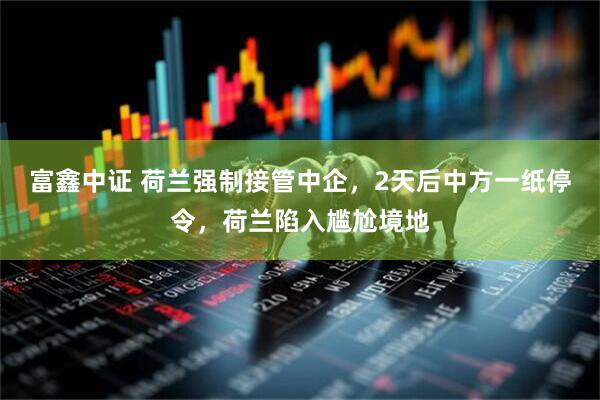 富鑫中证 荷兰强制接管中企，2天后中方一纸停令，荷兰陷入尴尬境地
