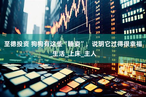 至德投资 狗狗有这些“睡姿”，说明它过得很幸福_生活_上床_主人