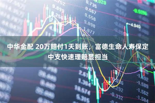 中华金配 20万赔付1天到账，富德生命人寿保定中支快速理赔显担当