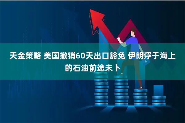 天金策略 美国撤销60天出口豁免 伊朗浮于海上的石油前途未卜