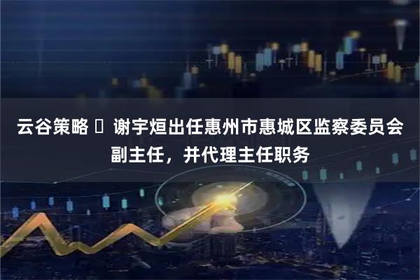 云谷策略 ​谢宇烜出任惠州市惠城区监察委员会副主任，并代理主任职务